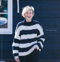 Phildar Libelle visser trui breipatroon