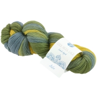 Cool Wool Lace Hand Dyed 814 Asha